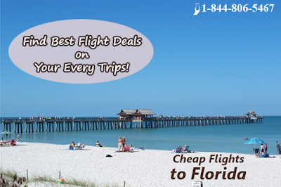 Cheap Flight Deals to Florida