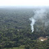 Focos de queimadas triplicam no Estado do Amazonas