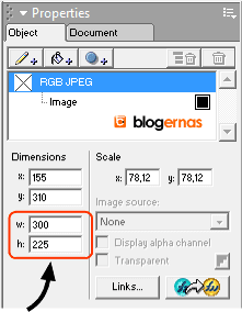 Cara Edit Ukuran Foto di Macromedia Freehand