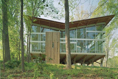 Modern Tree House 2010