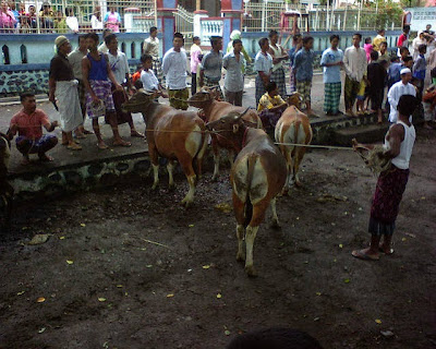 Kisah Idul Adha Atau Bakrid