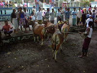 Kisah Idul Adha Atau Bakrid