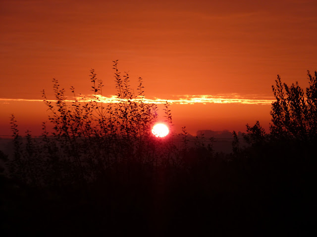 Sussex sunrise