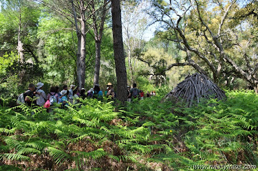 Sendero del Acebrón