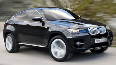 BMW X6 User manual