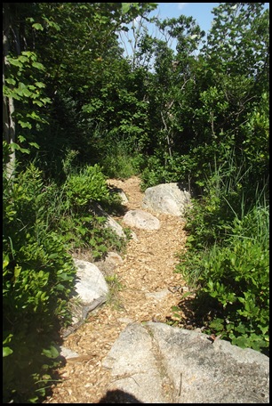 Cooksey, Sargent & Somes Sound 004