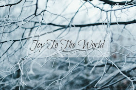 http://scattered-scribblings.blogspot.com/2016/12/joy-to-world_24.html