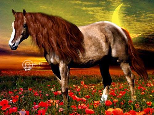 Use Hypnosis To Harness The Power Of Astral Projection
