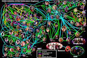 . orange means they are family. It might not be completely accurate and I .