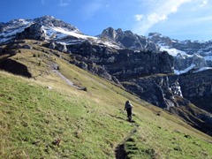 Tournette