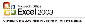 ms excel