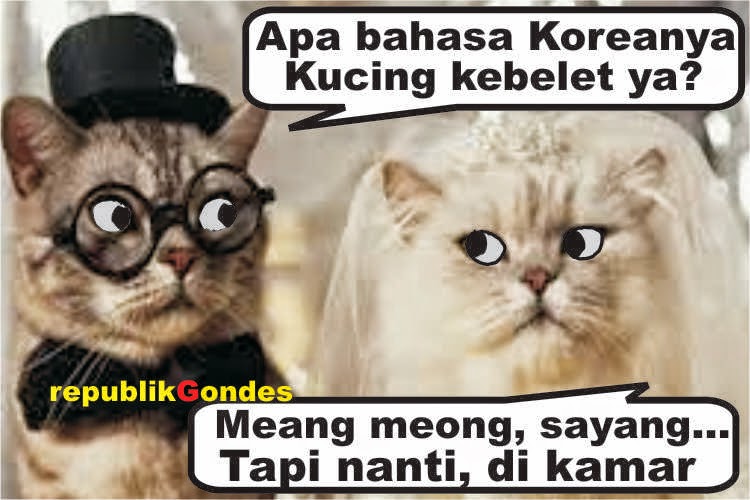 Plesetan Arti Bahasa Korea Lucu Kocak - Cerita Humor Lucu 