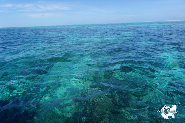 5 PULAU YANG MESTI DILAWATI DI SEMPORNA SABAH 