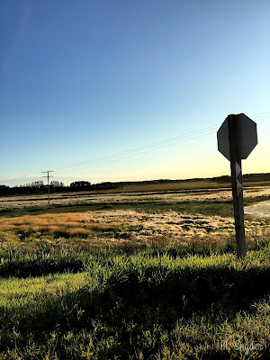 August 19, 2019 Driving to Edmonton Alberta.