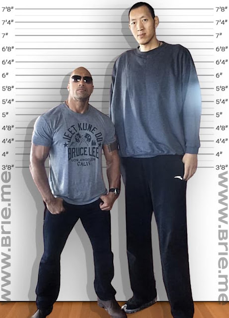 Sun Mingming standing with The Rock