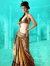 Indian Actress Reha in Saree