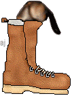 bootan