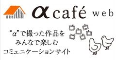 アルファカフェ会員募集中！