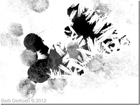 Barb Derksen Ice 2012  (3)