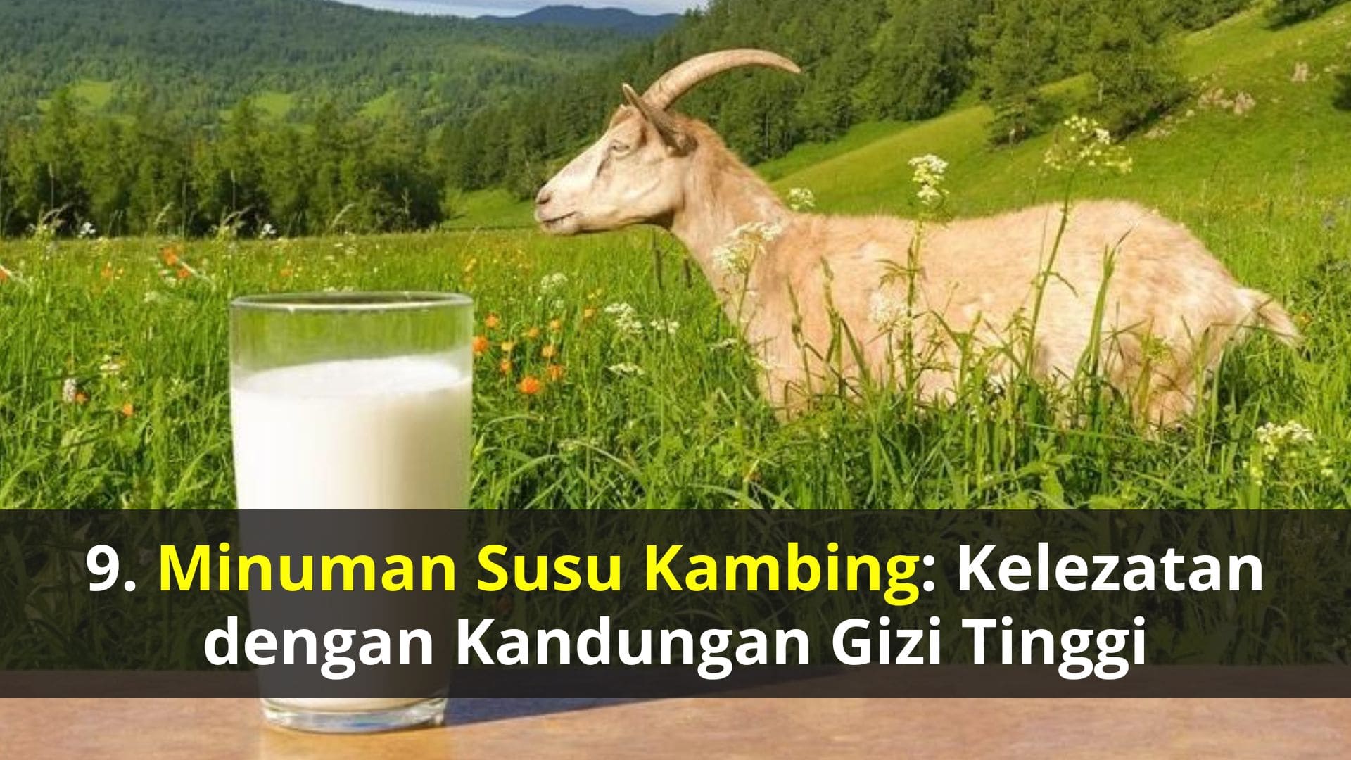 Minuman Susu Kambing: Kelezatan dengan Kandungan Gizi Tinggi