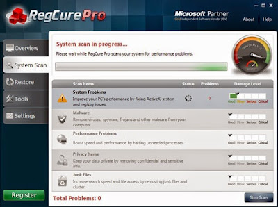 the screenshot of System Scan of RegCure Pro