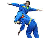 Pengertian Seni Beladiri Vovinam