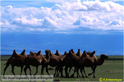 Mongolian Gobi Desert