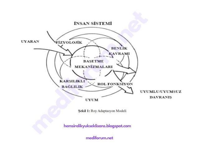 roy adaptasyon modeli