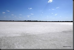 Pink Lake - Lake Lochiel