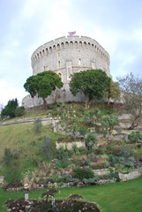 d17 windsor (16)