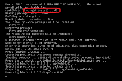 install bind9