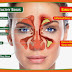 Tersumbat telinga dan hidung lah pulak dah (sinusitis)