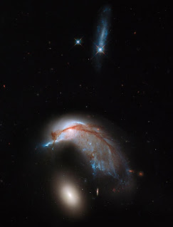 The Enigmatic Cosmic Penguin and Its Egg