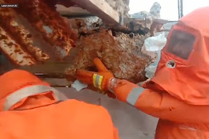 BPBD Kota Tangerang Evakuasi Sarang Tawon Berukuran Besar Dirumah Warga