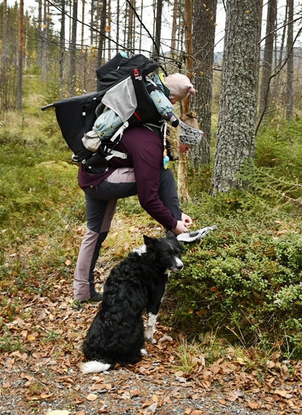 stalla fiskelaustjern strømsoddbygda