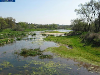 Rio Caia (Baldio), Zonas de Pesca de Castelo de Vide / Portalegre (Alto Alentejo), Portugal (Fish / Pesca)