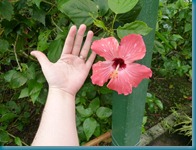 055