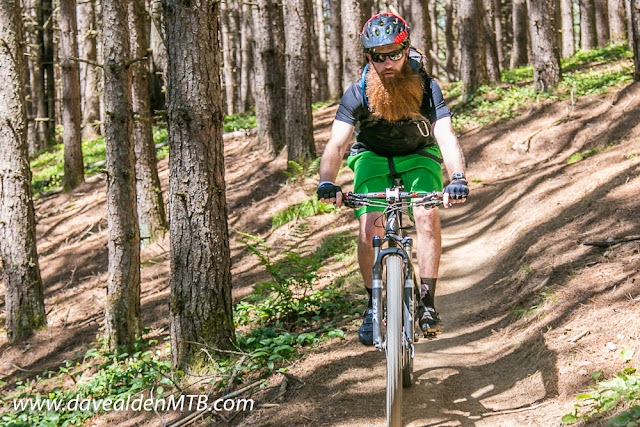 NEMBAFest, Kingdom Trails, East Burke, Vermont