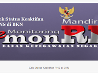 Cara Cek Status Keaktifan PNS di BKN Untuk Validasi Info GTK 