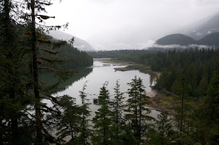 https://en.m.wikipedia.org/wiki/Great_Bear_Rainforest#