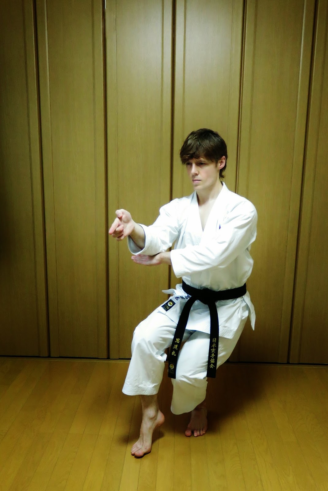 André Bertel's Karate-Do: Practice is Karate-Do