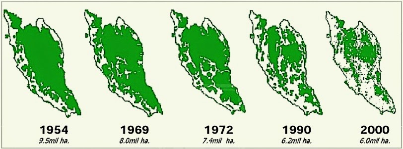 Cintai dan Kekalkan Hutan Di Malaysia - Relaks Minda