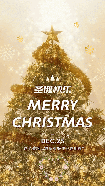 西方傳統節日——聖誕節