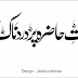 Halat  E Hazra Par Dardnaak Kalam | حالات حاضرہ پر دردناک کلام |  | Urdu images | Urdu Design | ردو ڈیزائن | Urdu Text Design 
