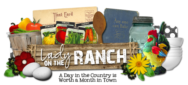 Lady on the Ranch Blog Design