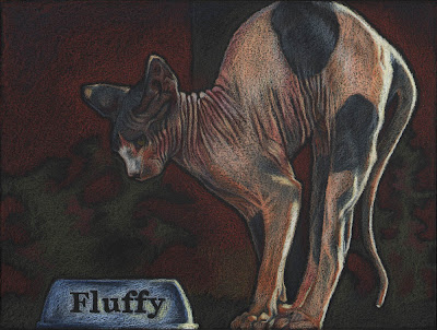 colored pencil drawing sphinx cat named fluffy artist janine aykens