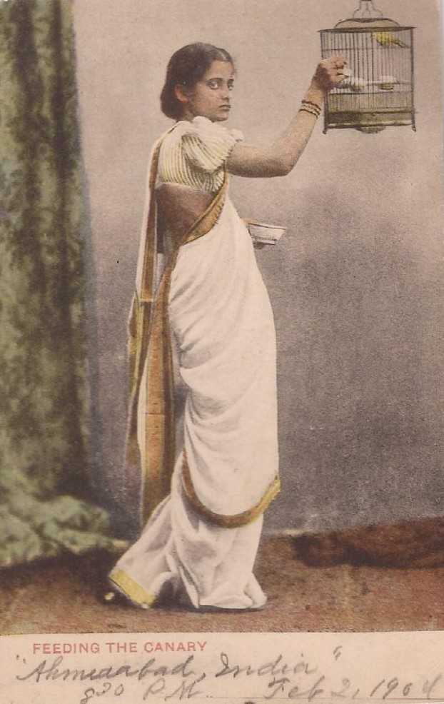 Lady Feeding the Canary - Early 20th Century Post Card