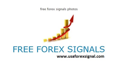 most profitable forex signals