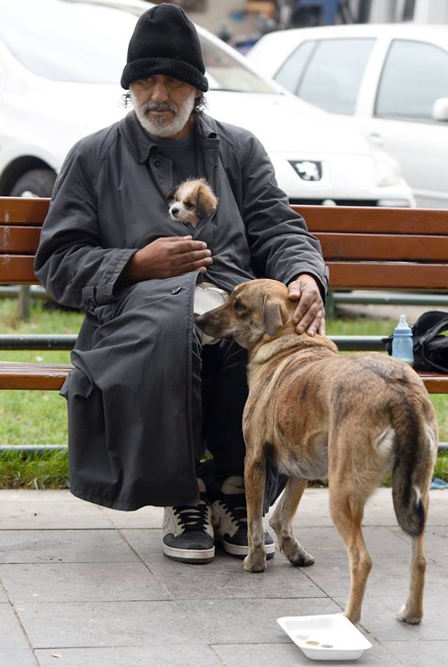 Bild des Tages - Obdachloser in Skopje mit Herz für Hunde