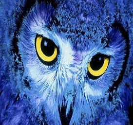 Facts concerning Nocturnal Animals